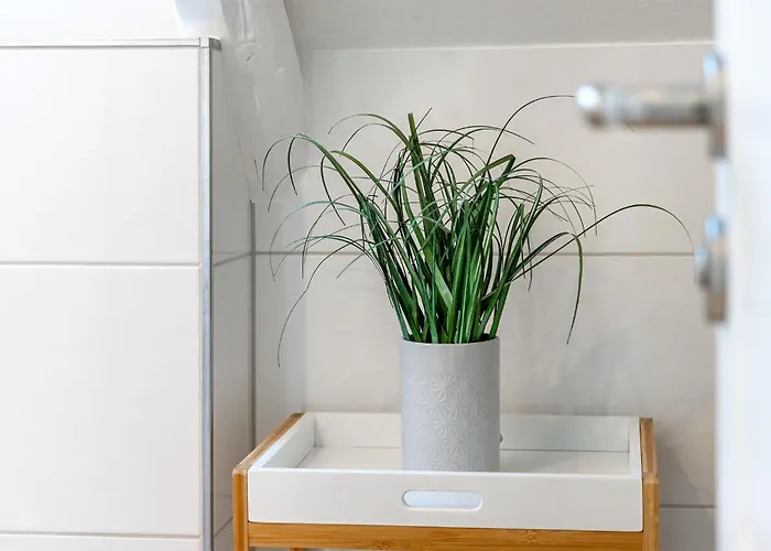 Mooi Tied Og Apartament *